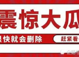 吃瓜八卦娱乐账号,吃瓜账号背后的那些事儿